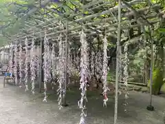 神場山神社の自然