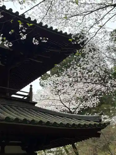 龍潭寺(静岡県)