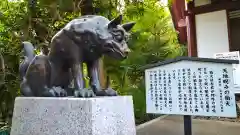 稲毛神社の狛犬