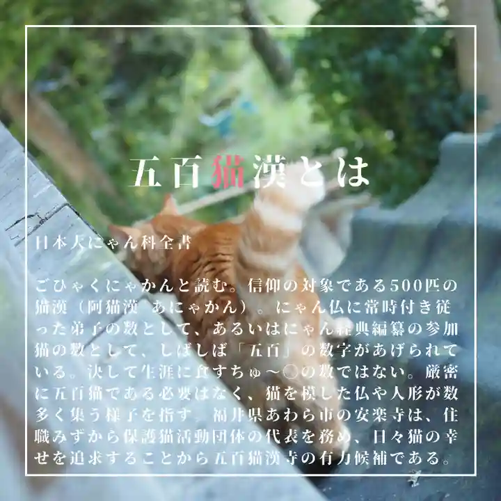 天王山 安楽寺(福井県)