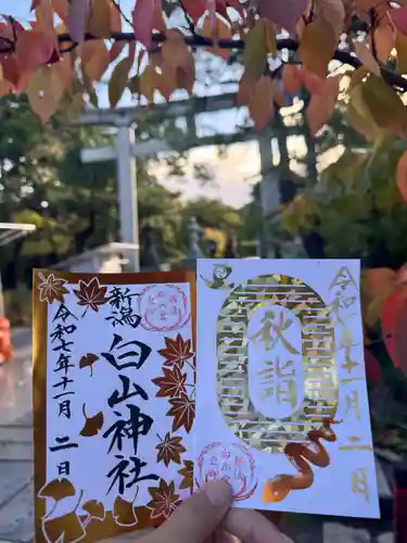 白山神社の御朱印