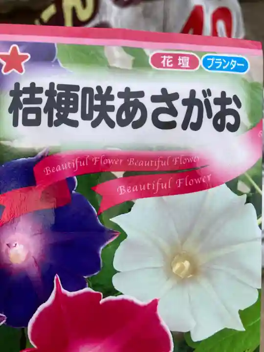 總社 和田八幡宮(福井県)