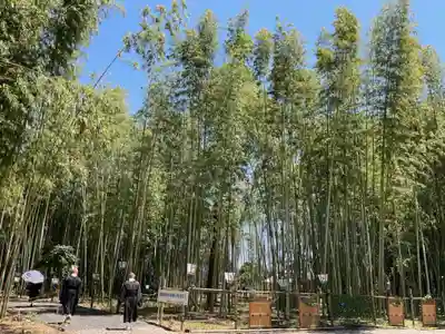 興禅寺(愛知県)