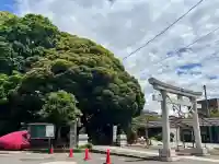 金ヶ作熊野神社の{uncategorized: "未分類", other: "その他", undefined: "問題あり", building: "その他建物", grave: "お墓", sacred_gate: "鳥居", guardian: "狛犬", statue: "像", buddha: "仏像", history: "歴史", nature: "自然", garden: "庭園", animal: "動物", pagoda: "塔", temizu: "手水舎", mountain_gate: "山門・神門", sanctuary: "本殿・本堂", subordinate: "末社・摂社", art: "芸術", scenery: "景色", jizo: "地蔵", ema: "絵馬", goshuin: "御朱印", omikuji: "おみくじ", items: "授与品その他", amulet: "お守り", goshuincho: "御朱印帳", eats: "食事", festival: "お祭り", votive_dance: "神楽", shichigosan: "七五三参", wedding: "結婚式", experience: "体験その他", initially: "初詣", around: "周辺", anti_infection: "感染症対策"}