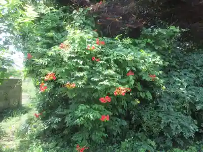 菊水寺(埼玉県)