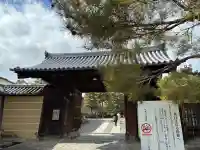 大徳寺の{uncategorized: "未分類", other: "その他", undefined: "問題あり", building: "その他建物", grave: "お墓", sacred_gate: "鳥居", guardian: "狛犬", statue: "像", buddha: "仏像", history: "歴史", nature: "自然", garden: "庭園", animal: "動物", pagoda: "塔", temizu: "手水舎", mountain_gate: "山門・神門", sanctuary: "本殿・本堂", subordinate: "末社・摂社", art: "芸術", scenery: "景色", jizo: "地蔵", ema: "絵馬", goshuin: "御朱印", omikuji: "おみくじ", items: "授与品その他", amulet: "お守り", goshuincho: "御朱印帳", eats: "食事", festival: "お祭り", votive_dance: "神楽", shichigosan: "七五三参", wedding: "結婚式", experience: "体験その他", initially: "初詣", around: "周辺", anti_infection: "感染症対策"}