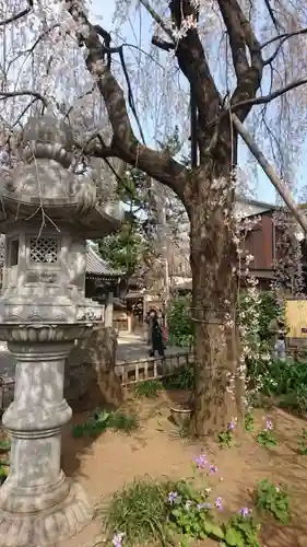 玄国寺のその他建物