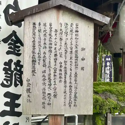 白金龍王社(愛知県)