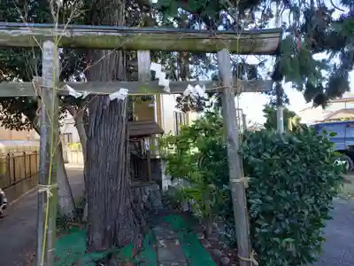 是政御嶽神社(東京都)