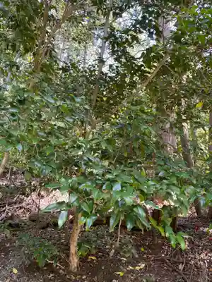 平岡八幡宮(京都府)