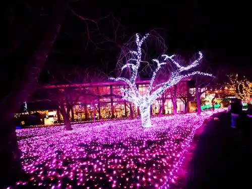 長谷寺(神奈川県)