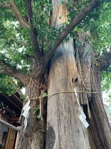 大鳥神社の自然