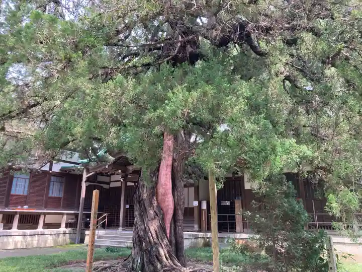 円覚寺(神奈川県)