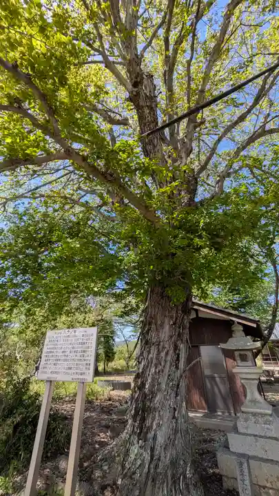 赤分寺(滋賀県)
