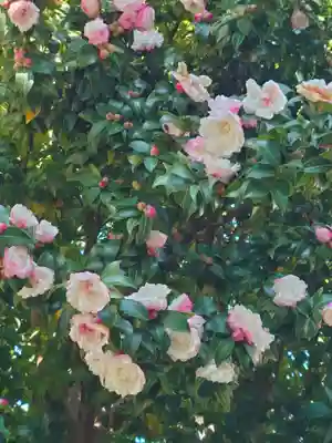 町田天満宮(東京都)