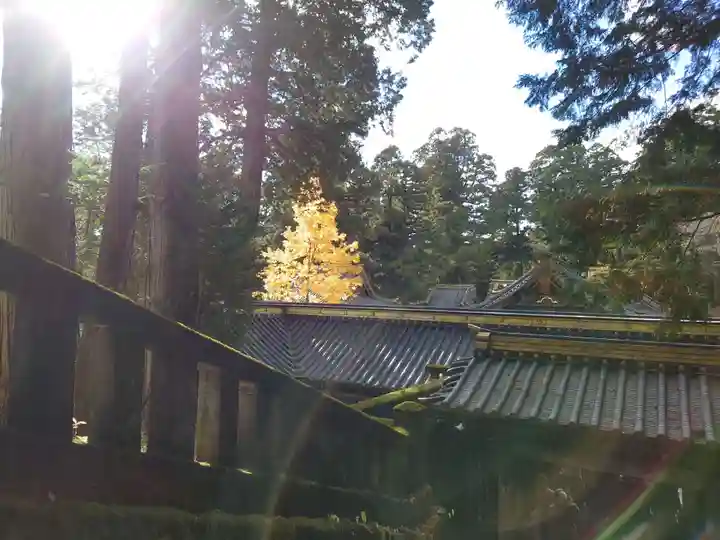 日光東照宮(栃木県)