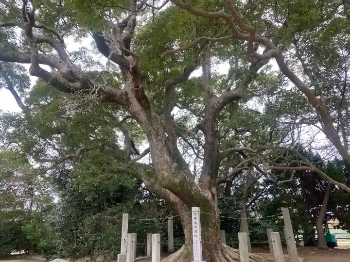 高田八幡神社の{uncategorized: "未分類", other: "その他", undefined: "問題あり", building: "その他建物", grave: "お墓", sacred_gate: "鳥居", guardian: "狛犬", statue: "像", buddha: "仏像", history: "歴史", nature: "自然", garden: "庭園", animal: "動物", pagoda: "塔", temizu: "手水舎", mountain_gate: "山門・神門", sanctuary: "本殿・本堂", subordinate: "末社・摂社", art: "芸術", scenery: "景色", jizo: "地蔵", ema: "絵馬", goshuin: "御朱印", omikuji: "おみくじ", items: "授与品その他", amulet: "お守り", goshuincho: "御朱印帳", eats: "食事", festival: "お祭り", votive_dance: "神楽", shichigosan: "七五三参", wedding: "結婚式", experience: "体験その他", initially: "初詣", around: "周辺", anti_infection: "感染症対策"}