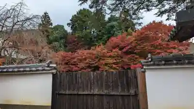 実相院門跡(京都府)