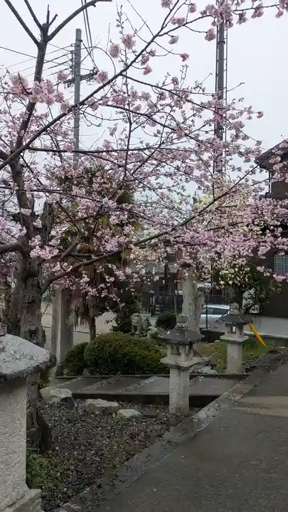 蓮経寺(滋賀県)