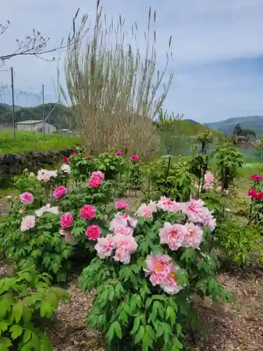 隆国寺(兵庫県)