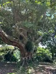 遠見岬神社(千葉県)