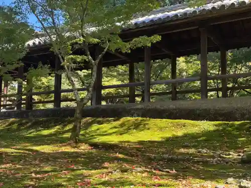 東福禅寺（東福寺）(京都府)