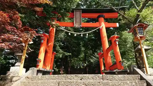 新倉富士浅間神社の鳥居