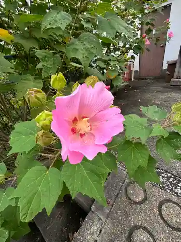 蔵林寺(京都府)
