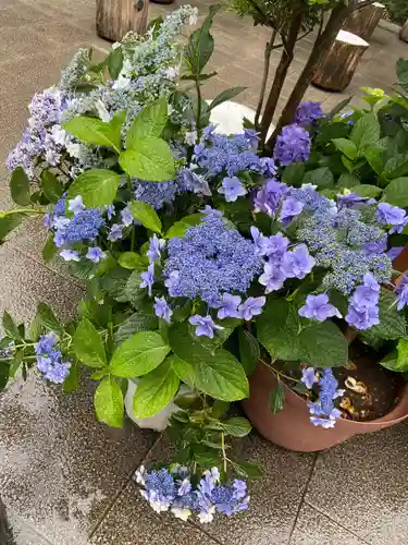 東京大神宮の庭園