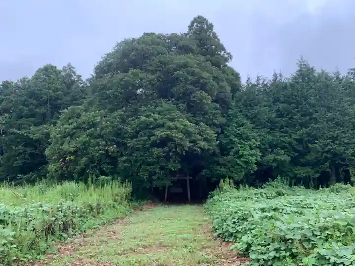 妙見神社(千葉県)
