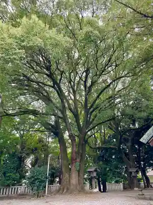 洲崎大神(神奈川県)