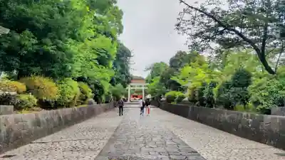 富士山本宮浅間大社(静岡県)
