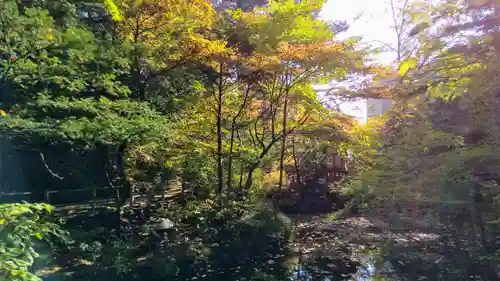 白石神社の自然