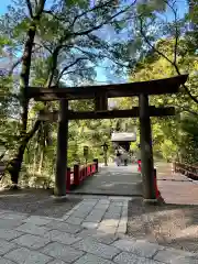 武蔵一宮氷川神社(埼玉県)