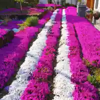 寿量山 速成寺(奈良県)