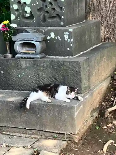 法華経寺(千葉県)