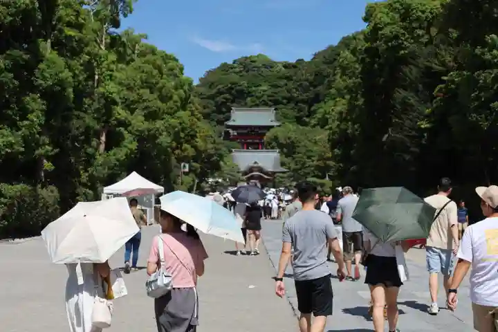 鶴岡八幡宮の景色