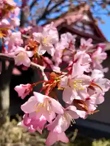 伊達神社の自然(2021年04月27日(火) 10時28分08秒投稿)