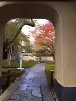 大徳寺(京都府)