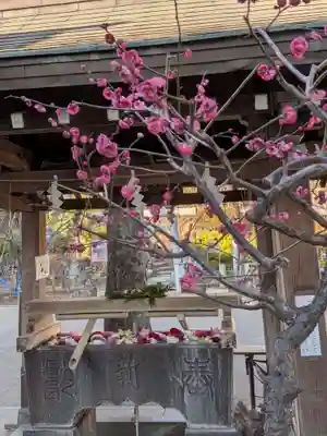 鳩森八幡神社(東京都)