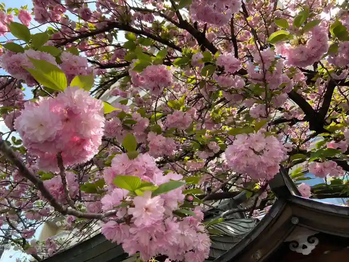 白龍神社(愛知県)