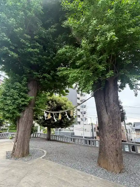 代田八幡神社の{uncategorized: "未分類", other: "その他", undefined: "問題あり", building: "その他建物", grave: "お墓", sacred_gate: "鳥居", guardian: "狛犬", statue: "像", buddha: "仏像", history: "歴史", nature: "自然", garden: "庭園", animal: "動物", pagoda: "塔", temizu: "手水舎", mountain_gate: "山門・神門", sanctuary: "本殿・本堂", subordinate: "末社・摂社", art: "芸術", scenery: "景色", jizo: "地蔵", ema: "絵馬", goshuin: "御朱印", omikuji: "おみくじ", items: "授与品その他", amulet: "お守り", goshuincho: "御朱印帳", eats: "食事", festival: "お祭り", votive_dance: "神楽", shichigosan: "七五三参", wedding: "結婚式", experience: "体験その他", initially: "初詣", around: "周辺", anti_infection: "感染症対策"}