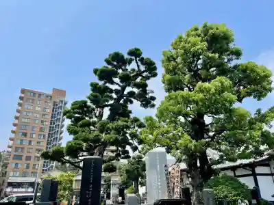 長円寺(静岡県)