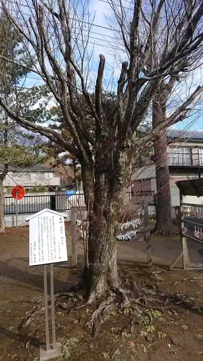 手児奈霊神堂のその他建物