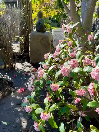 浄正寺の{uncategorized: "未分類", other: "その他", undefined: "問題あり", building: "その他建物", grave: "お墓", sacred_gate: "鳥居", guardian: "狛犬", statue: "像", buddha: "仏像", history: "歴史", nature: "自然", garden: "庭園", animal: "動物", pagoda: "塔", temizu: "手水舎", mountain_gate: "山門・神門", sanctuary: "本殿・本堂", subordinate: "末社・摂社", art: "芸術", scenery: "景色", jizo: "地蔵", ema: "絵馬", goshuin: "御朱印", omikuji: "おみくじ", items: "授与品その他", amulet: "お守り", goshuincho: "御朱印帳", eats: "食事", festival: "お祭り", votive_dance: "神楽", shichigosan: "七五三参", wedding: "結婚式", experience: "体験その他", initially: "初詣", around: "周辺", anti_infection: "感染症対策"}