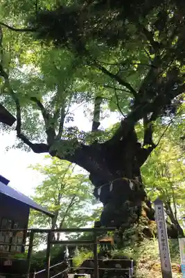 熊野皇大神社(長野県)