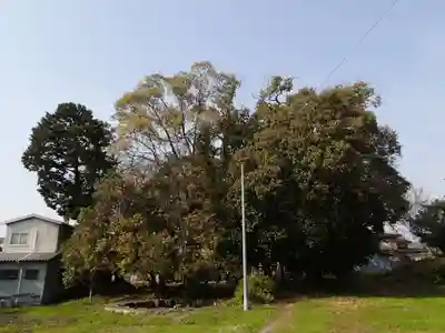 天照御魂神社の景色