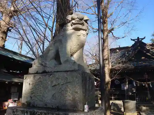 金村別雷神社の狛犬