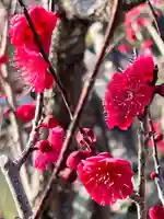 長岡天満宮(京都府)