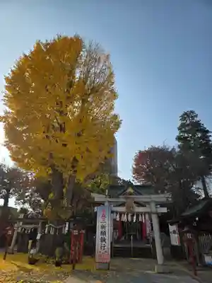 川越八幡宮(埼玉県)